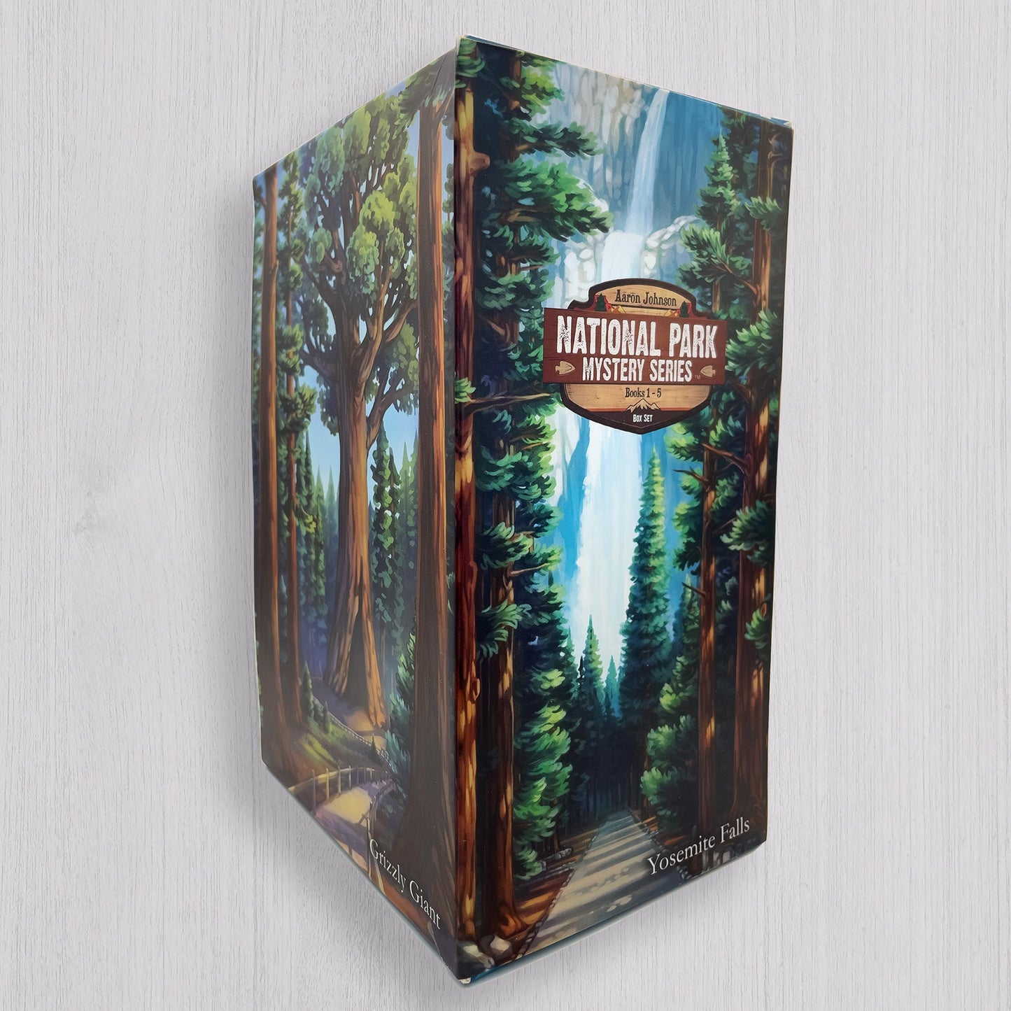 5 Book Box Set - PRESALE - SHIPS EARLY DECEMBER 2024